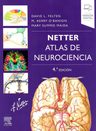 Netter Atlas De Nuerociencia 4a Edición Medicina — imagen 1