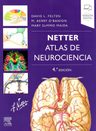 Libro Atlas De Neurociencia 4ed — imagen 2