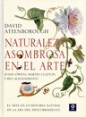Naturaleza Asombrosa En El Arte - David Attemborough — imagen 2