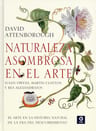 Naturaleza Asombrosa Arte Historia Natural A  Obras Maestras — imagen 2