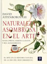 Naturaleza Asombrosa Arte Historia Natural A  Obras Maestras — imagen 7