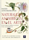 Naturaleza Asombrosa Arte Historia Natural A  Obras Maestras — imagen 1