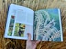 Un Año En El Jardín - Tapa Blanda - Clara Billoch — imagen 3