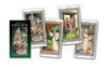 Tarot Of The Druids - Bepi Vigna — imagen 4