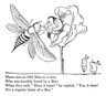 Libro Nonsense - Colección Poemas Y Relatos De Edward Lear — imagen 3
