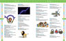 Oxford First Dictionary - Diccionario Infantil Vocabulario — imagen 3