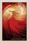 Oráculo Rumi  Tarot Runas Brujería Magia Adivinación Esotéri — imagen 4