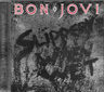 Cd Bon Jovi / Slippery When Wet (1986) Europeo — imagen 8