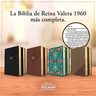 Biblia Letra Grande Tamaño Manual Con Referencias — imagen 3