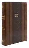 Biblia Rvr 1960 Edición Especial Letra Grande Simil Piel — imagen 7
