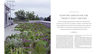 Planting Oudolf Kingsbury - Diseño De Jardines Sostenible — imagen 3