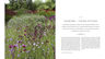 Planting Oudolf Kingsbury - Diseño De Jardines Sostenible — imagen 4