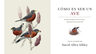 Libro De Aves - Cómo Viven Y Sienten Las Aves — imagen 6