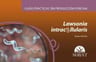 Guías Prácticas En Producción Porcina. Lawsonia Intracellularis, De Mcorist, Steven. Editorial Servet, Tapa Blanda En Español — imagen 1