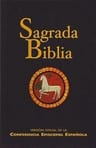 Biblia Sagrada Católica: Texto Íntegro Con Introducción — imagen 1