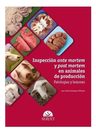 Inspección Animal - Ante Y Post Mortem En Veterinaria — imagen 1