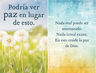 Milagros Diarios Cartas Curso Tarot Oraculo — imagen 3