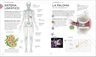 Anatomía Del Yoga Ann Swanson - Guía Visual Completa — imagen 3