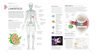 Anatomía Del Yoga Ann Swanson - Guía Visual Completa — imagen 4