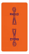 Starter Tarot Deck Principiantes 78 Cartas Significados — imagen 8