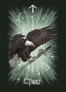 Oráculo Rúnico Animales Cartas Adivinación Magia Runas — imagen 4