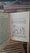 Libro Entrenamiento De Caballos - Técnicas De Equitación — imagen 2