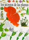 Los Secretos De Las Plantas, De David Burnie. Editorial Altea En Español — imagen 2