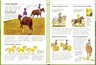 Manual Equitación Caballos Guía Monta Principiantes — imagen 2