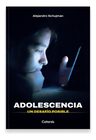 Adolescencia Schujman Desafíos Y Soluciones Familiares — imagen 2