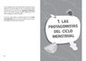 Crespi Cuerpo Ciclo Pubertad Manual Ilustrado — imagen 8