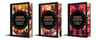 Sanderson Mistborn Trilogía Estuche Cantos Pintados — imagen 3