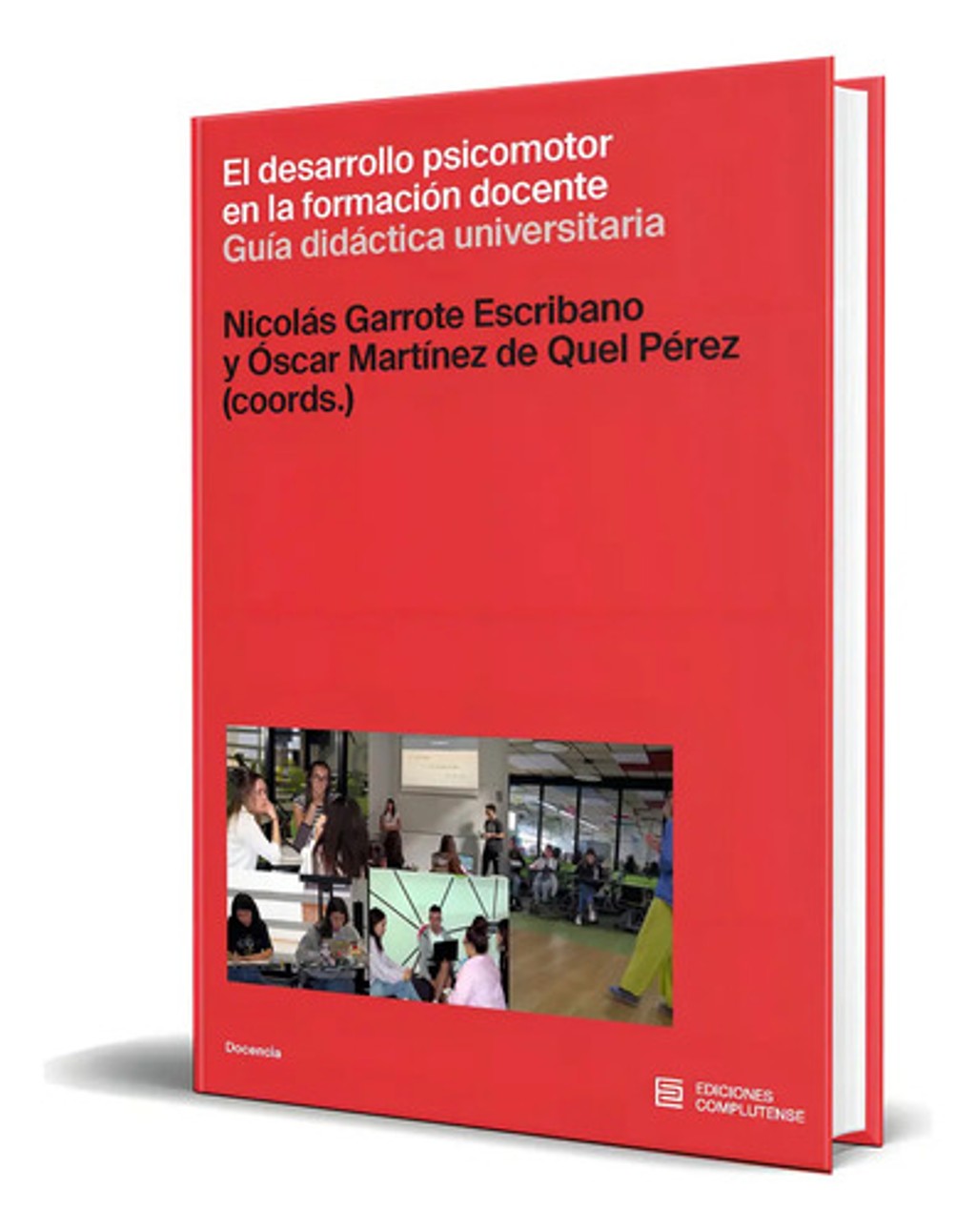 Libro El Desarrollo Psicomotor En La Formación Docente, De Nicolás Garrote Escribano. Editorial Ediciones Complutense, Tapa Blanda En Español, 2024 — imagen 1