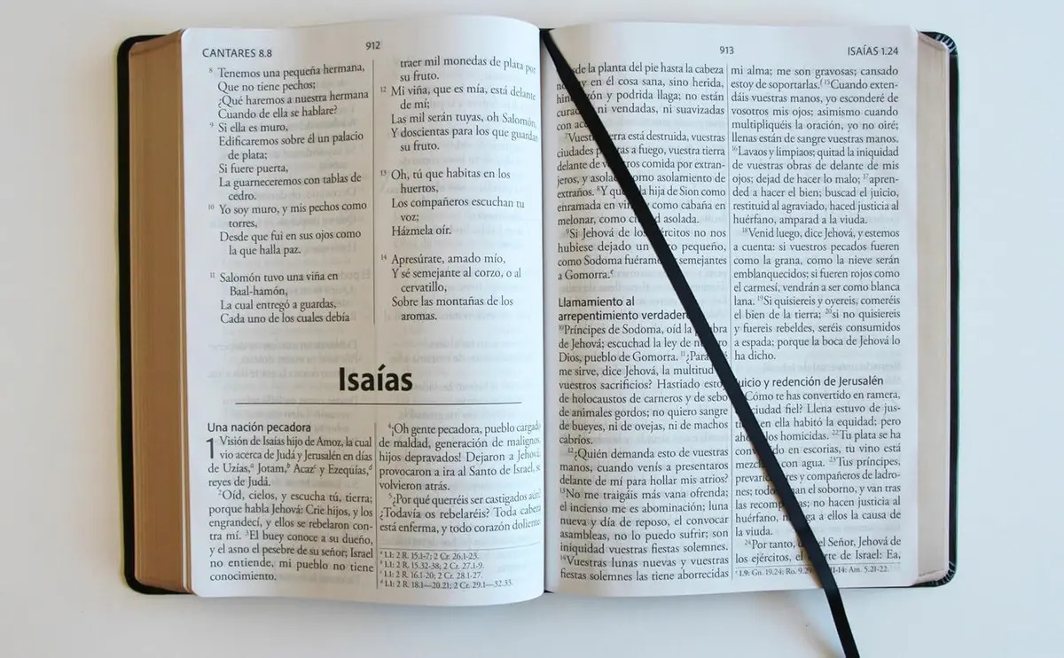 Biblia Rvr 1960 Símil Piel Negro Súper Gigante — imagen 12