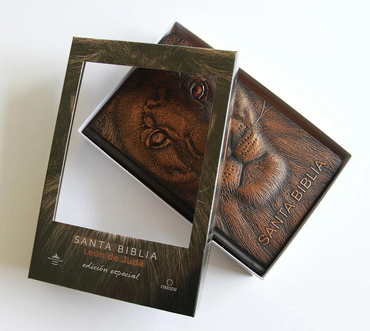 Biblia Rvr 1960 L. Grande León De Judá Edic. Especial Bronce — imagen 11