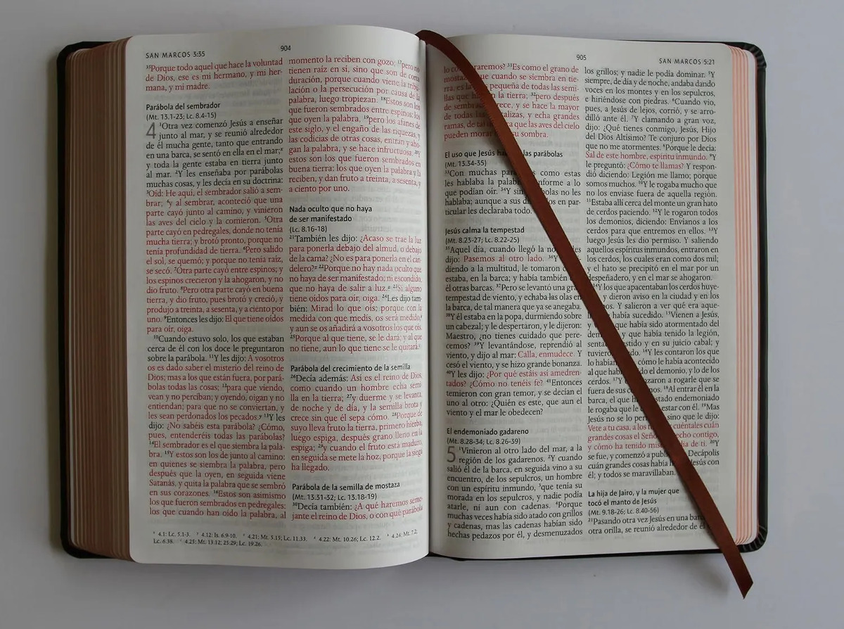 Biblia Rvr 1960 L. Grande León De Judá Edic. Especial Bronce — imagen 8