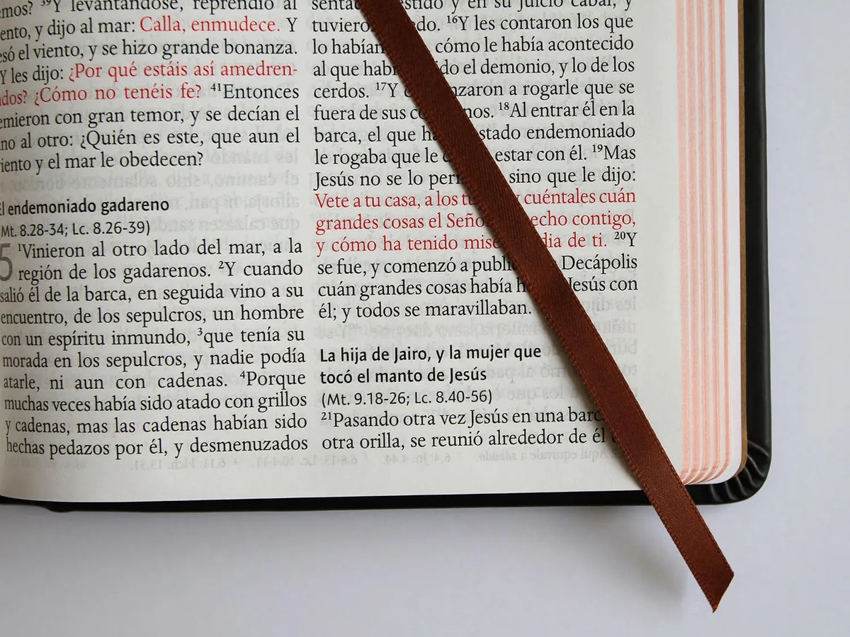 Biblia Rvr 1960 L. Grande León De Judá Edic. Especial Bronce — imagen 9