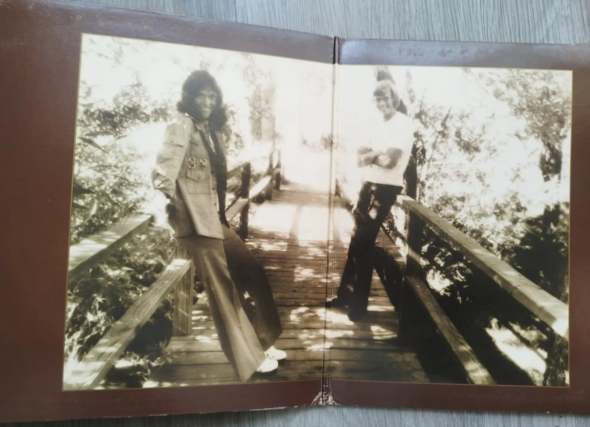 Carpenters Passage The Singles 1969 1973 Pack Dos Vinilos Lp — imagen 8