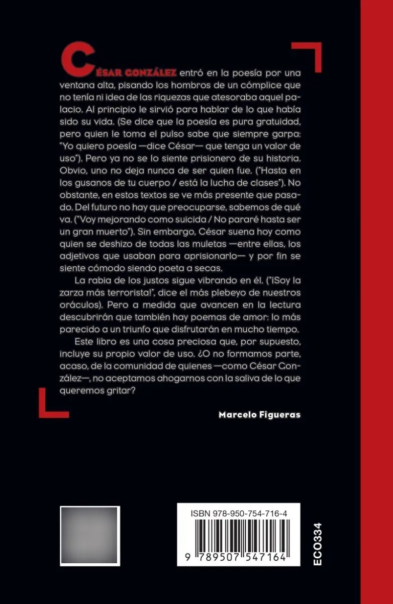 Libro - Rectangulo Y Flecha Gonzalez Poesia — imagen 6