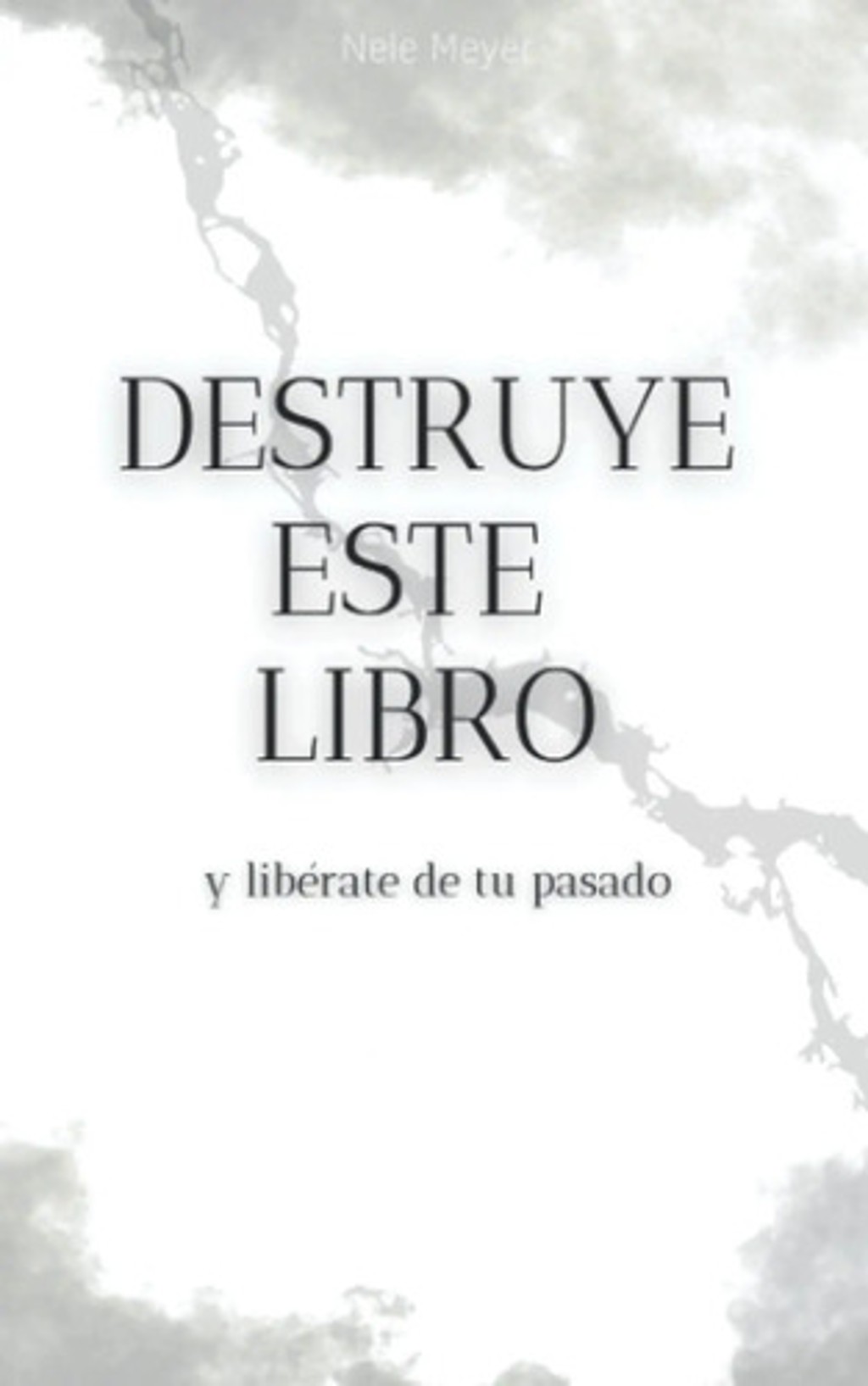 Destruye Este Libro Y Libérate De Tu Pasado — imagen 1