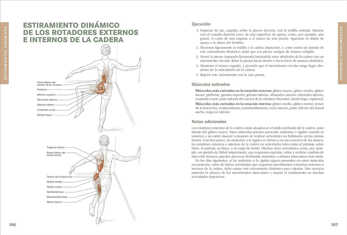 Anatomía De Los Estiramientos Arnold G. Nelson — imagen 5