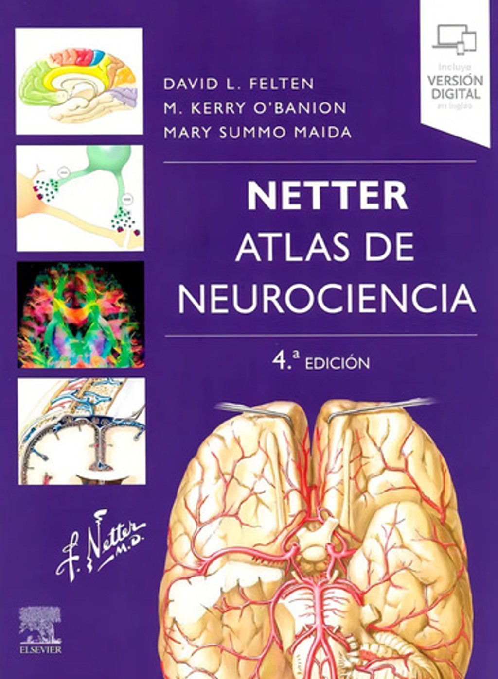 Netter Atlas De Neurociencia 4 Edición Medicina Anatomía — imagen 1