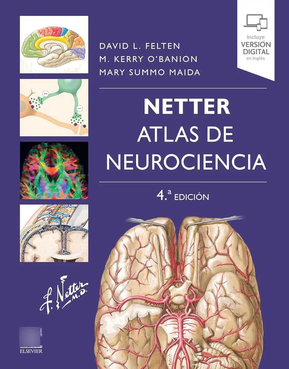 Netter Atlas De Neurociencia 4 Edición Medicina Anatomía — imagen 2