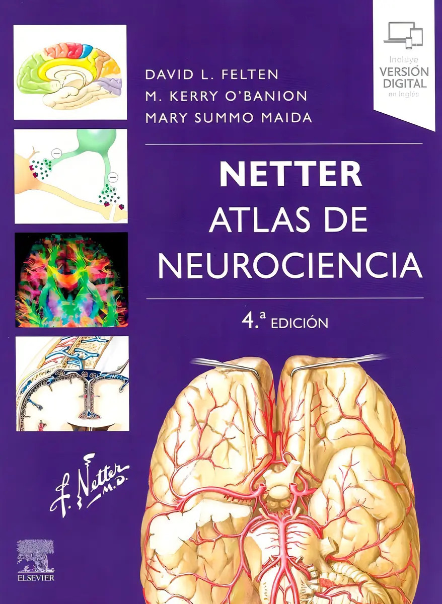 Netter Atlas De Neurociencia 4 Edición Medicina Anatomía — imagen 7