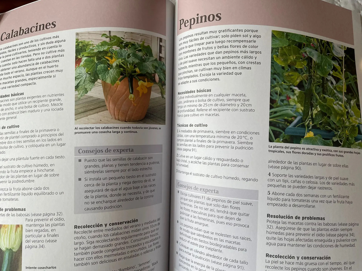 Libro Cultivo Macetas Royal Horticultural Society Guía Proye — imagen 3